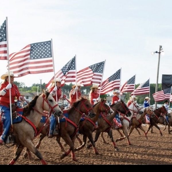 Breed/Discipline | Demonstration of the Patriotic Drill Team Rodeo City ...