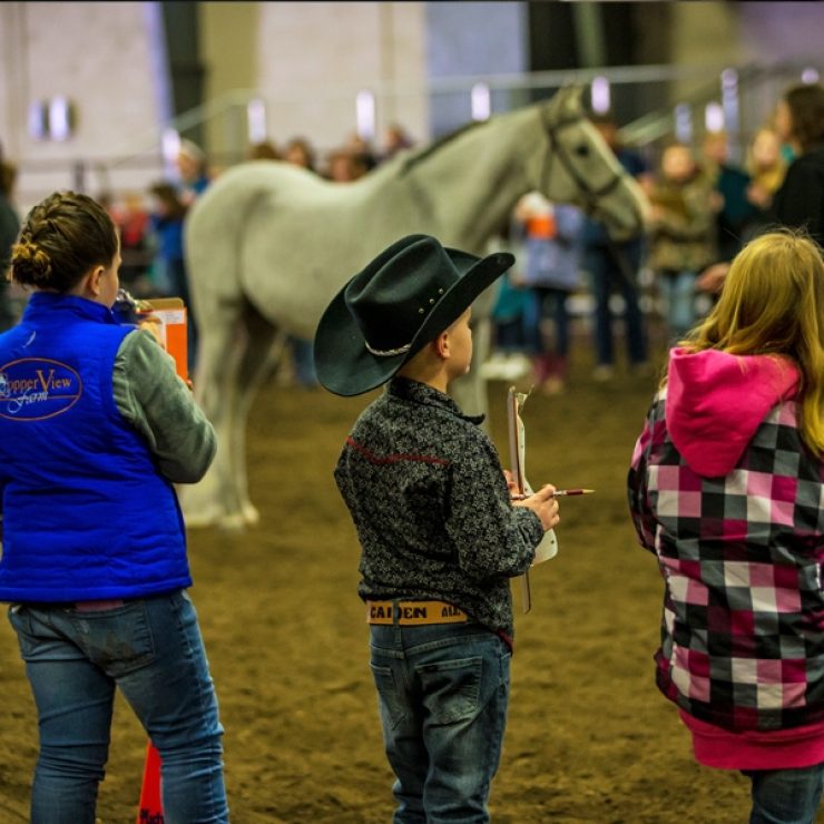 Horse Judging Midwest Horse Fair
