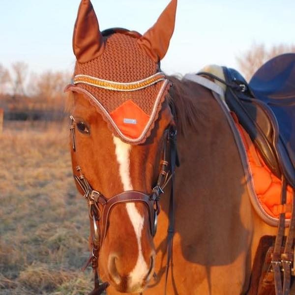 Thoroughbred