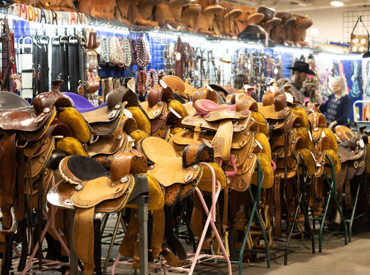 Saddles