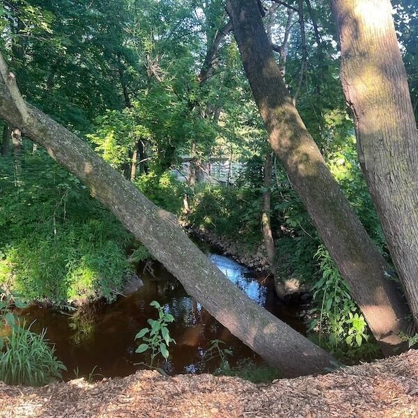 Babbling Brook Equestrian