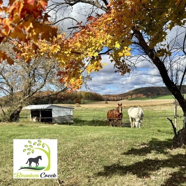Bronken Creek Horse Retirement