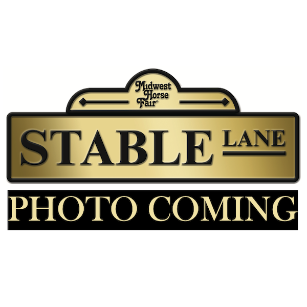 Soft Eyes Equine Bodywork