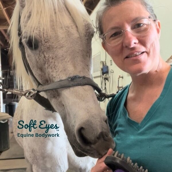 Soft Eyes Equine Bodywork