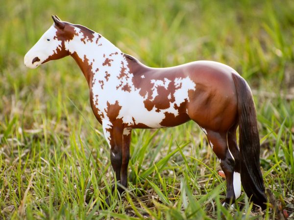 Truly Unsurpassed Breyer Model