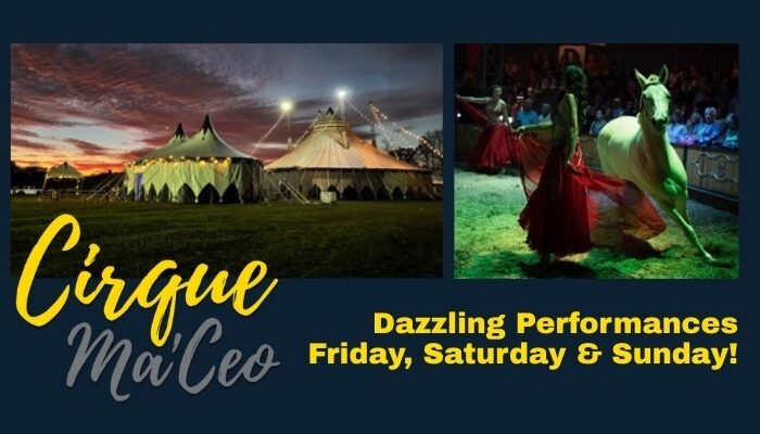 Special Feature: Cirque Ma'Ceo