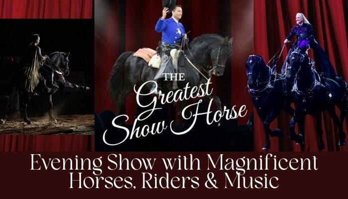Evening Show: The Greatest Show Horse