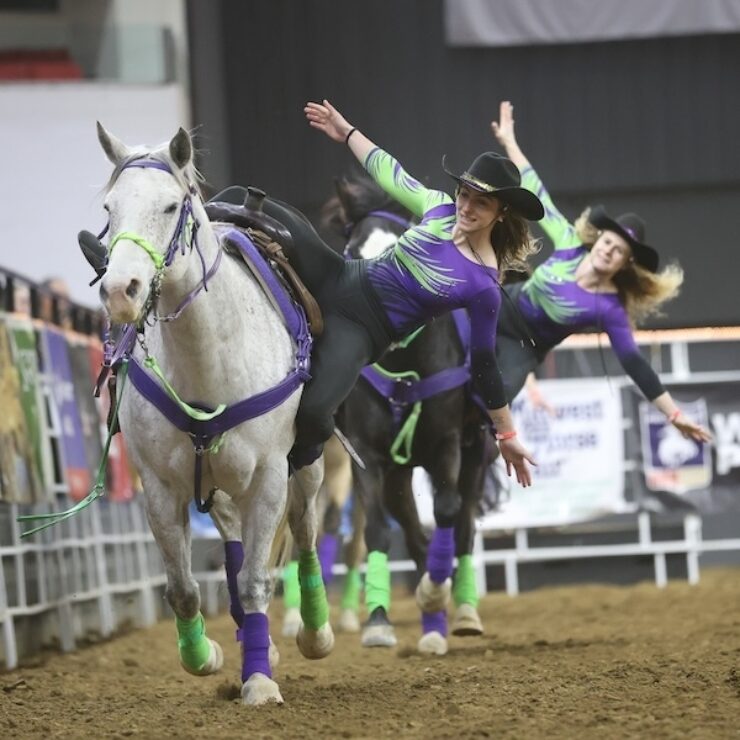 Dare Devils 2026 cropped