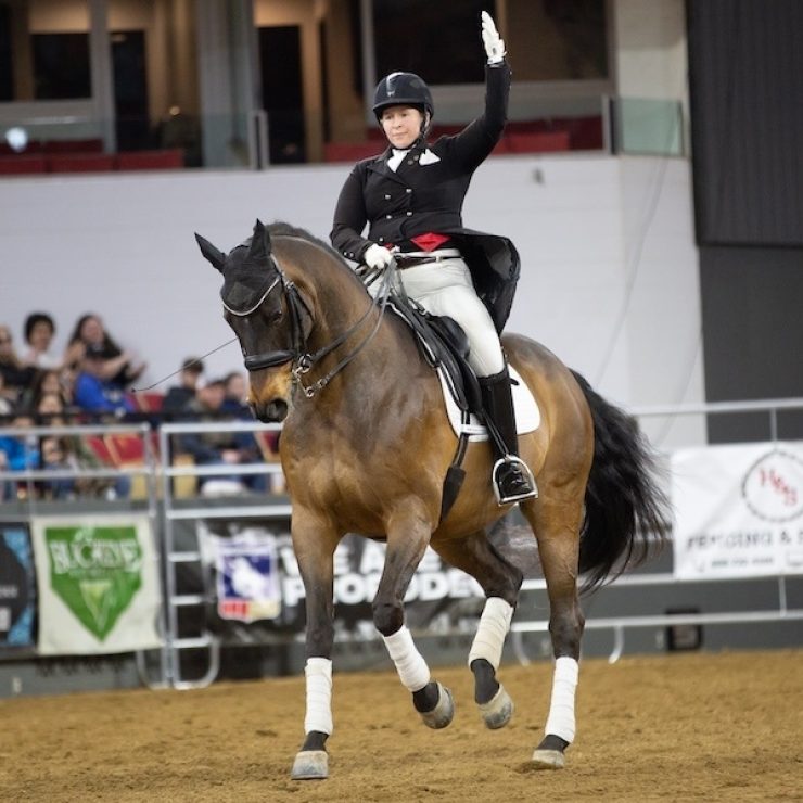 Dressage cropped 2026