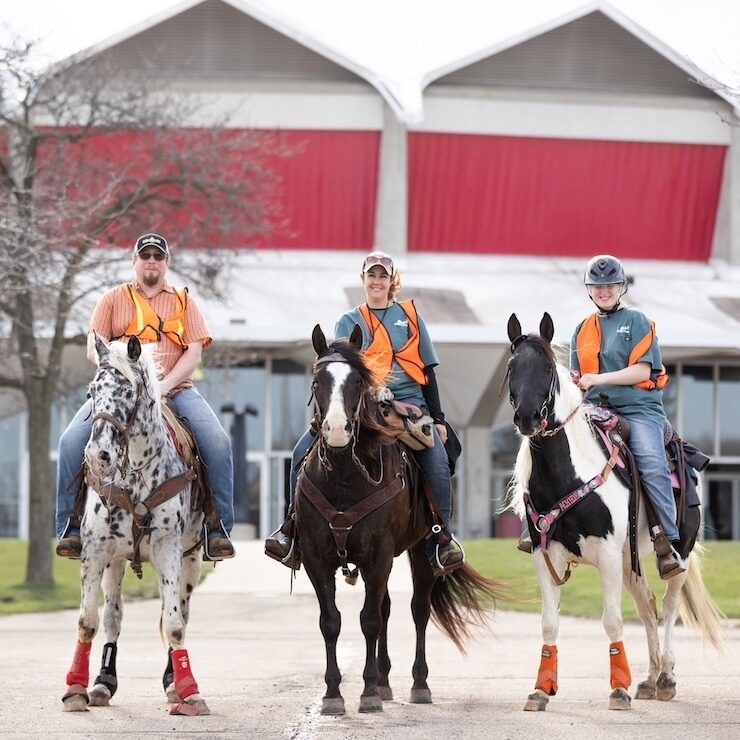 Mounted Horse Patrol 3