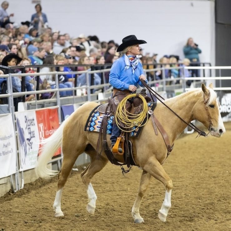 Palomino 2025 cropped