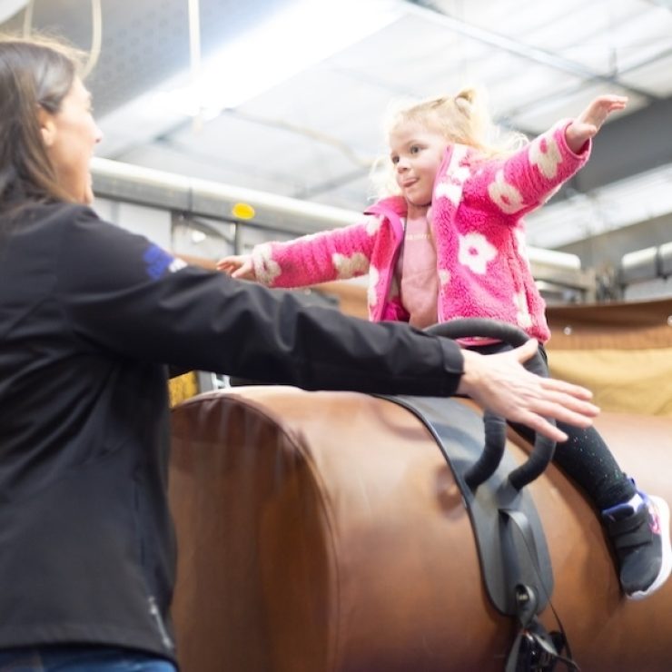 Stable Lane American Vaulting
