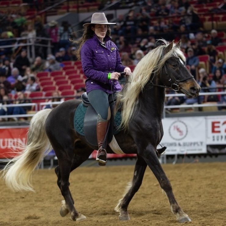 Stallion Revue 1 2025