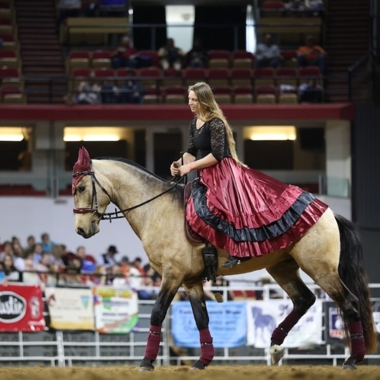 Stallion Revue 1 2026 cropped