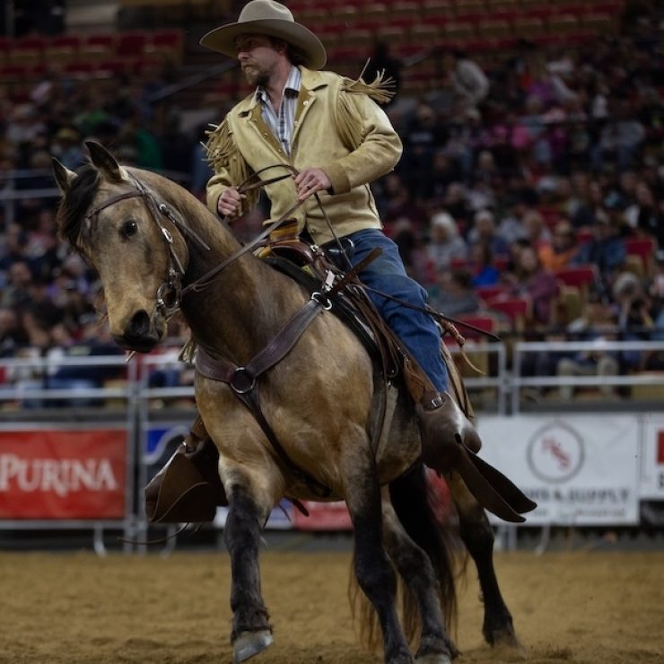 Stallion Revue 3 2025