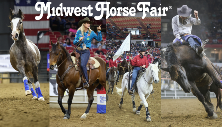 Untitled 700 x 400 px 1