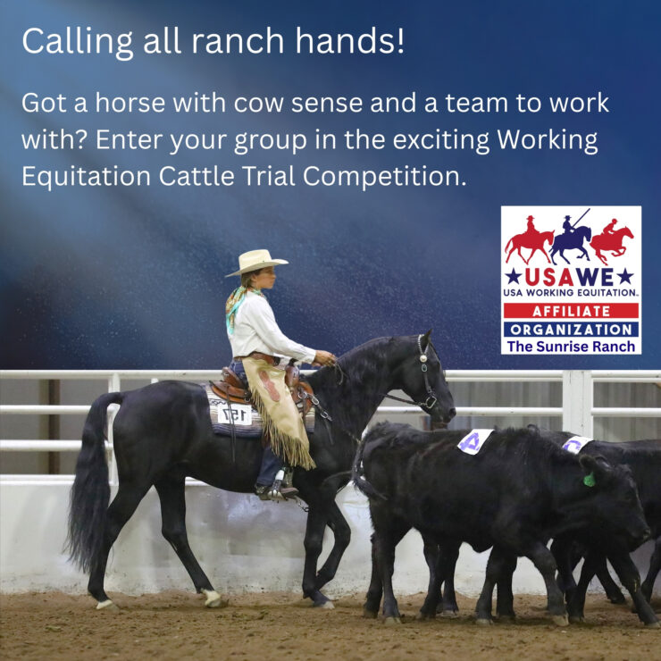 WE Cattle Trial left jpg