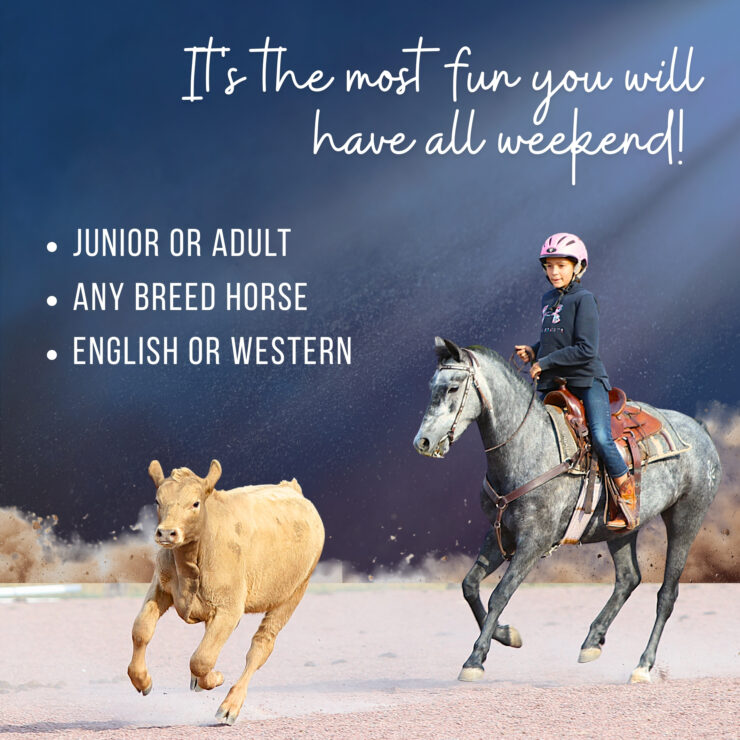 WE Cattle Trial right jpg