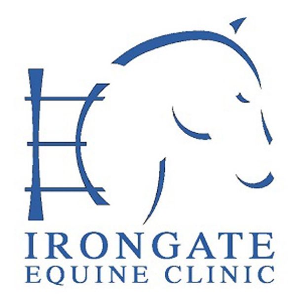 Clinicians Midwest Horse Fair